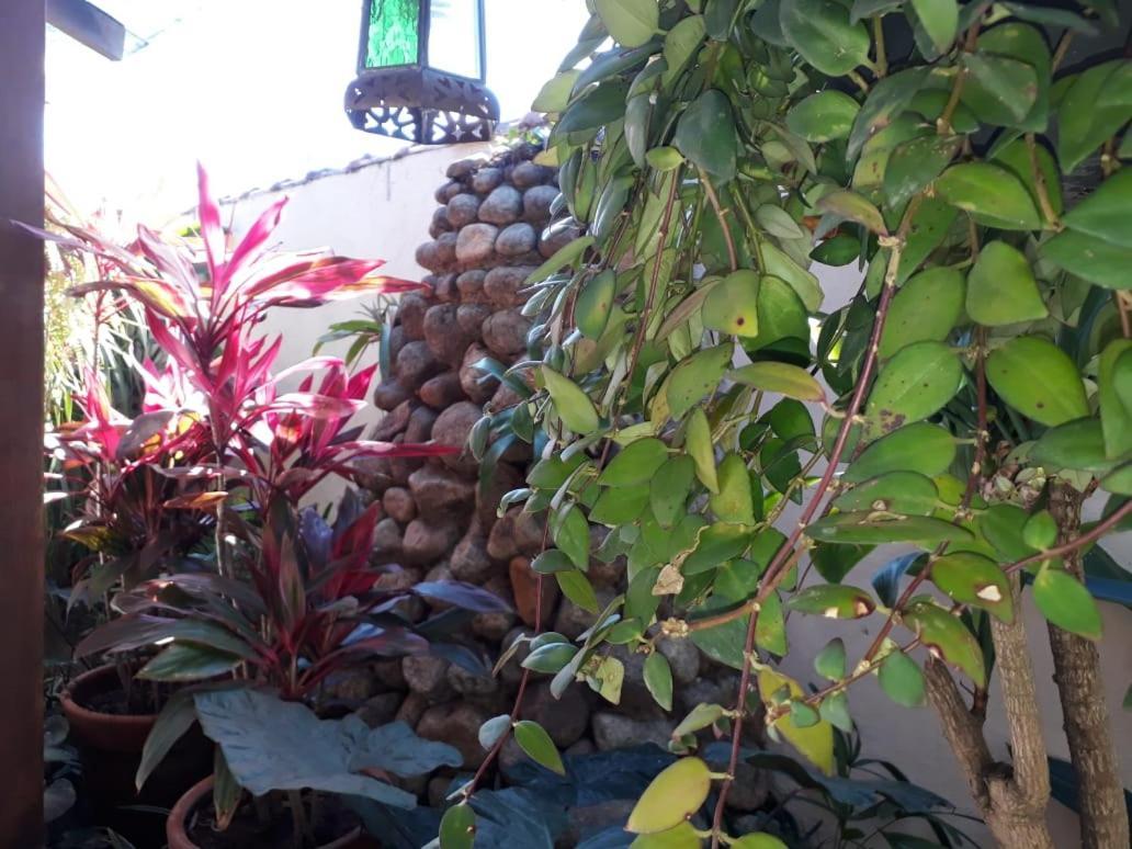 Pousada Naus De Parati Exterior foto